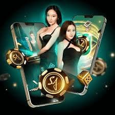 t22 com bet